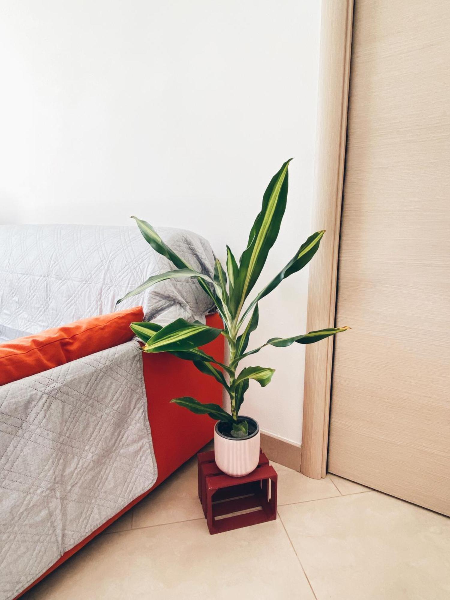 Apartment In Siena With Private Parking Экстерьер фото